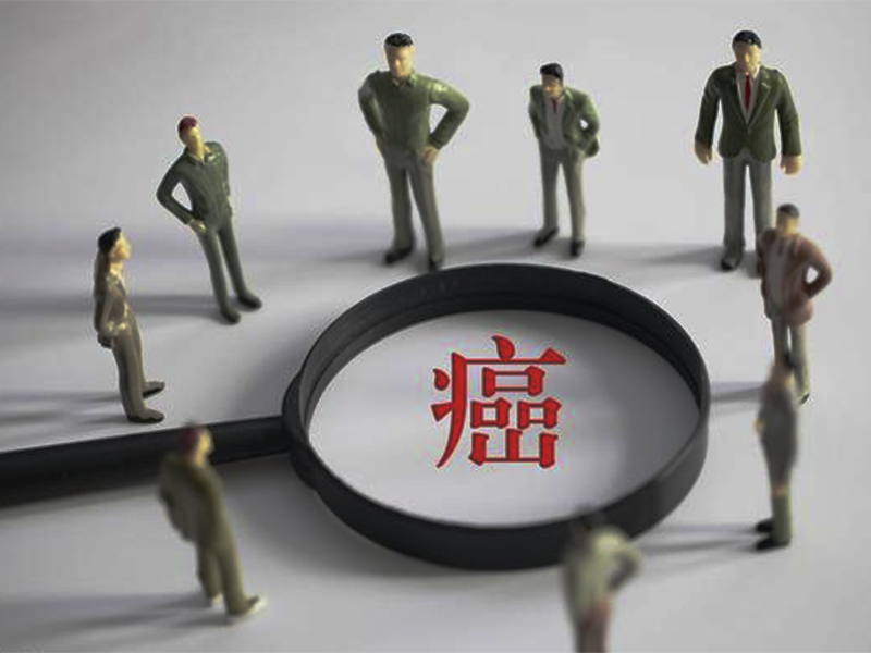 放化疗期间,增效减毒。