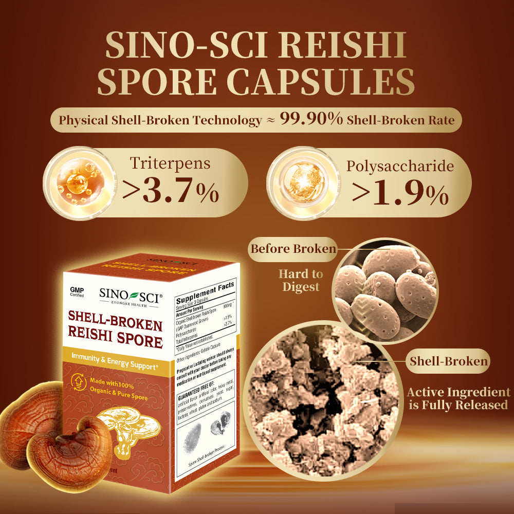 Sino-Sci Reishi Mushroom Spore Capsules (2nd Gen) - Immune System Booster