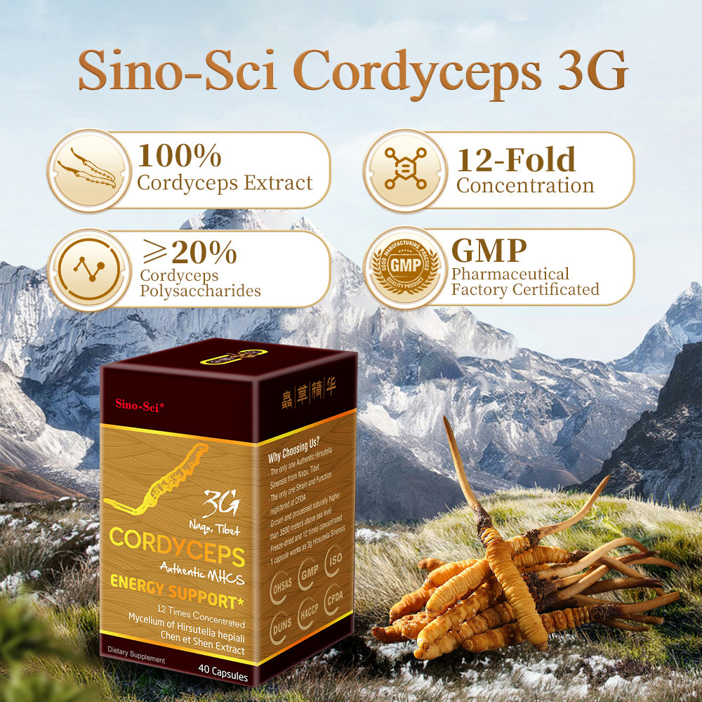 Sino-Sci Cordyceps 3G Capsule - Energy Support Immunity Booster