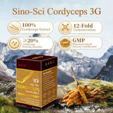 Sino-Sci Cordyceps 3G Capsule - Energy Support Immunity Booster