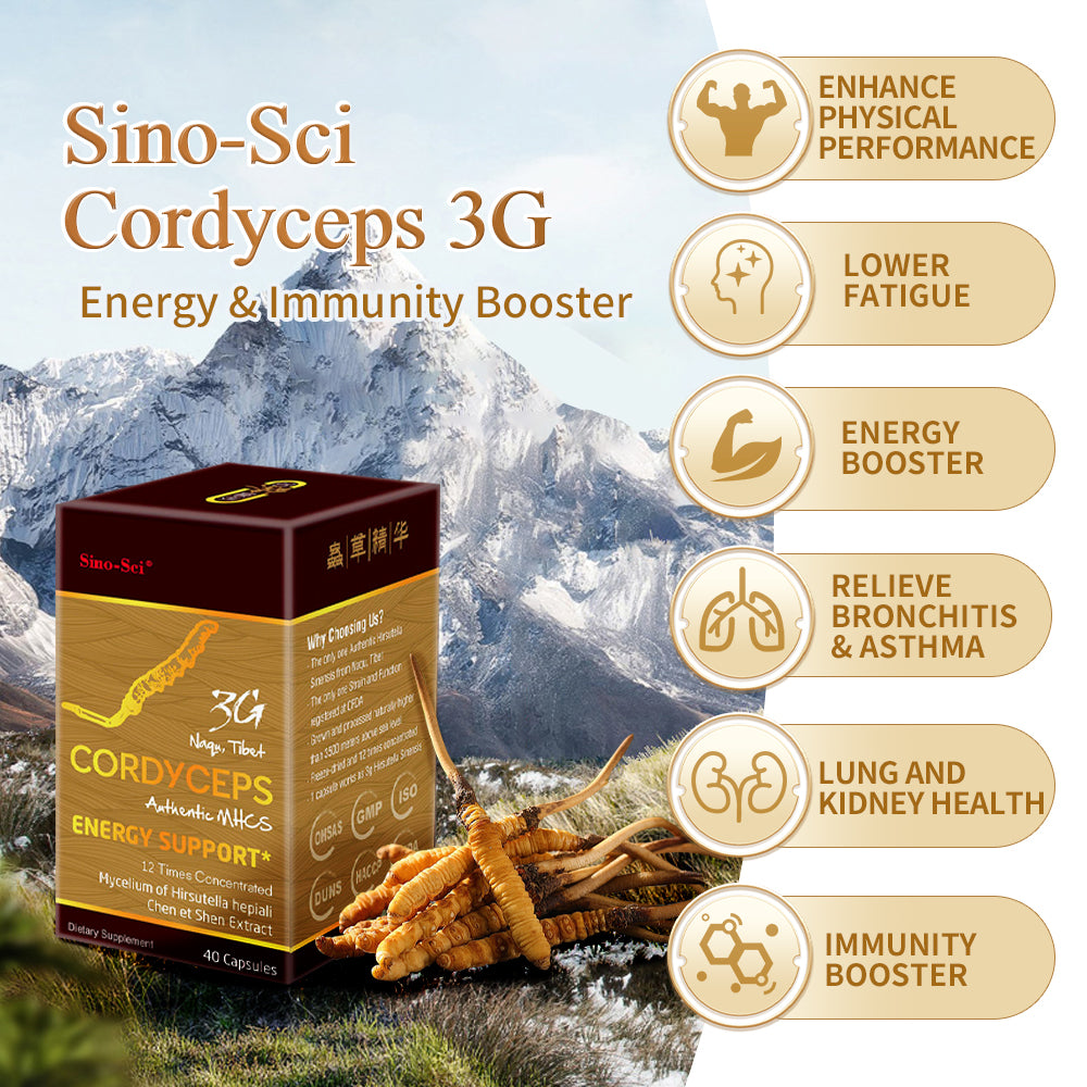 中科虫草3G精华胶囊 - 冬虫夏草浓缩萃取 补充精力 益气补肾 拒绝透支 防脱发 非Cs-4