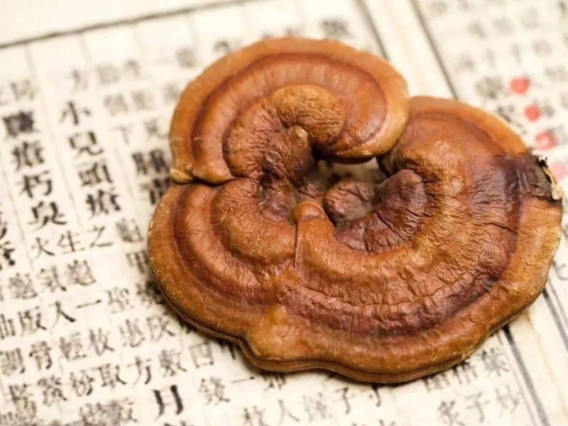 血管堵了，垃圾毒素多了！灵芝的帮助大不？