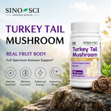 Sino-Sci Turkey Tail Mushroom Supplement - Immune Support