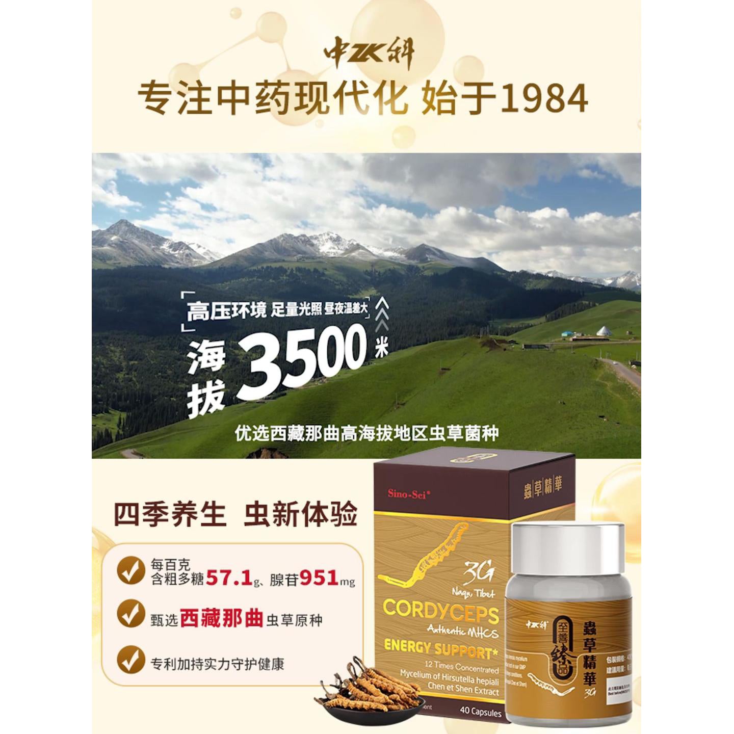 Sino-Sci Cordyceps 3G Capsules – Energy & Immune Support – 40 Capsules