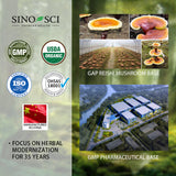 Sino-Sci Reishi Mushroom Capsules - Sino-Sci
